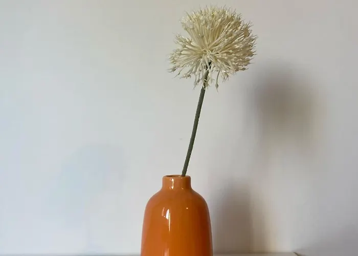 Apartment Nuovissimo A